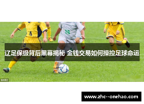 辽足保级背后黑幕揭秘 金钱交易如何操控足球命运