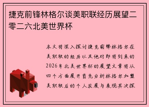 捷克前锋林格尔谈美职联经历展望二零二六北美世界杯
